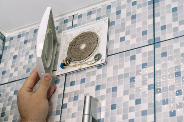 Best Dryer Vent Cleaning Services  in Oreana, IL