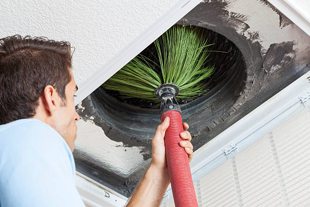 Best Air Duct Cleaning Company Near Me  in Oreana, IL