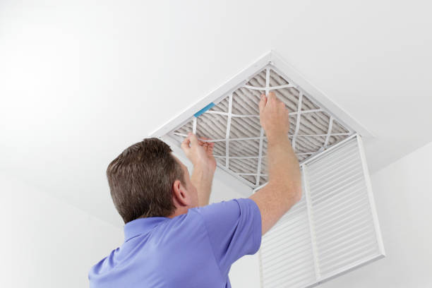 Best Local Air Duct Cleaning Services  in Oreana, IL